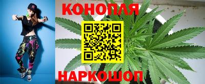 прущие грибы Севастополь