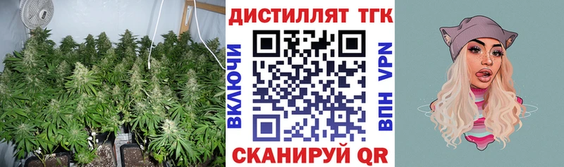 закладки  Чайковский  ТГК вейп 