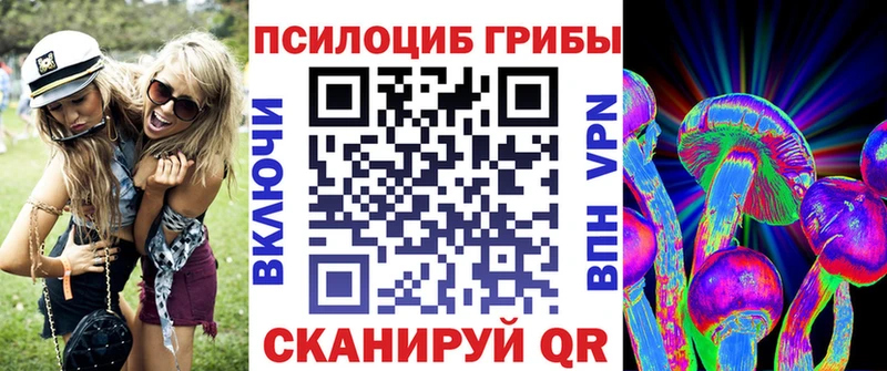 Псилоцибиновые грибы Cubensis  купить наркоту  Чайковский 