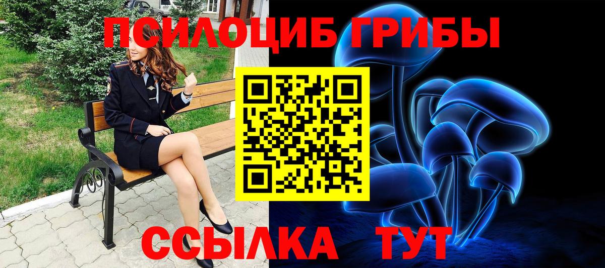 Псилоцибиновые грибы Psilocybine cubensis Чайковский
