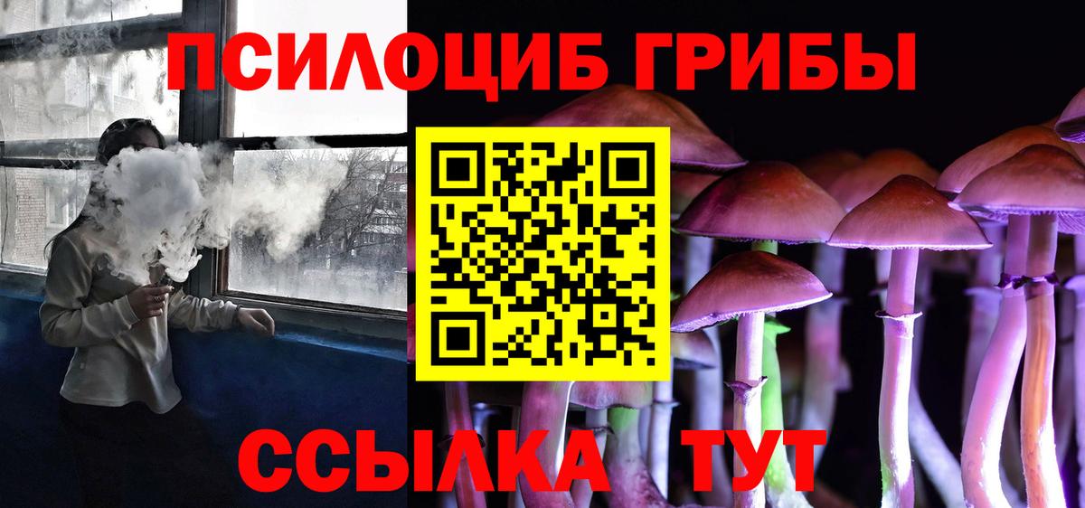 Чайковский  Галлюциногенные грибы мицелий  Вход с VPN  дарнет шоп  Псилоцибиновые грибы Psilocybe 